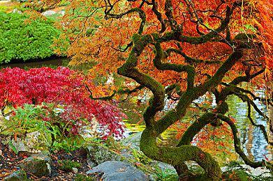 索尼：让微软控制动视的游戏 很重大负面影响