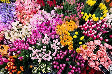 《战地6》单人剧情发生在2027年 多人模式将定时有季度更新