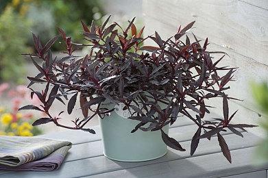 《辐射：伦敦》团队正开发巨型补丁 提供1对1客服